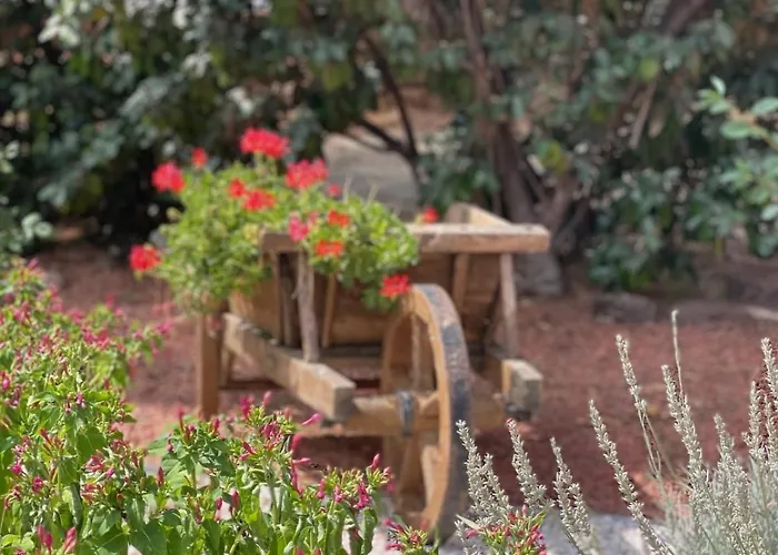L'oasis Du Bosc Maison Avec Piscine Et Le Bosc (Herault)