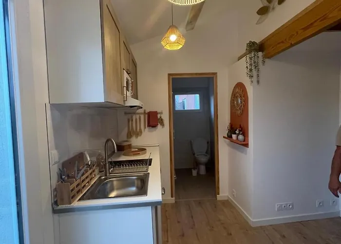 L'oasis Du Bosc Maison Avec Piscine Et