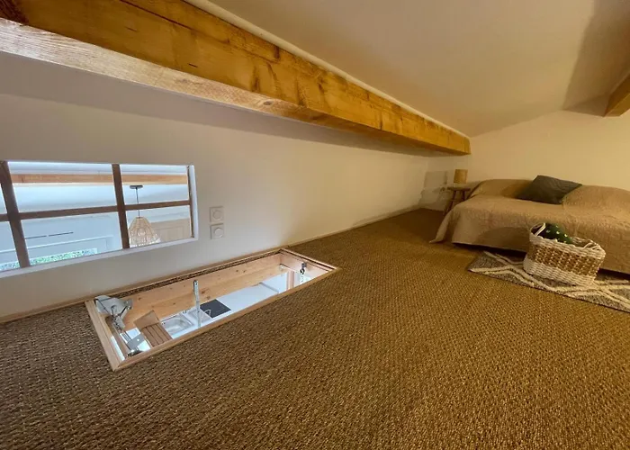 L'oasis Du Bosc Maison Avec Piscine Et Le Bosc (Herault)